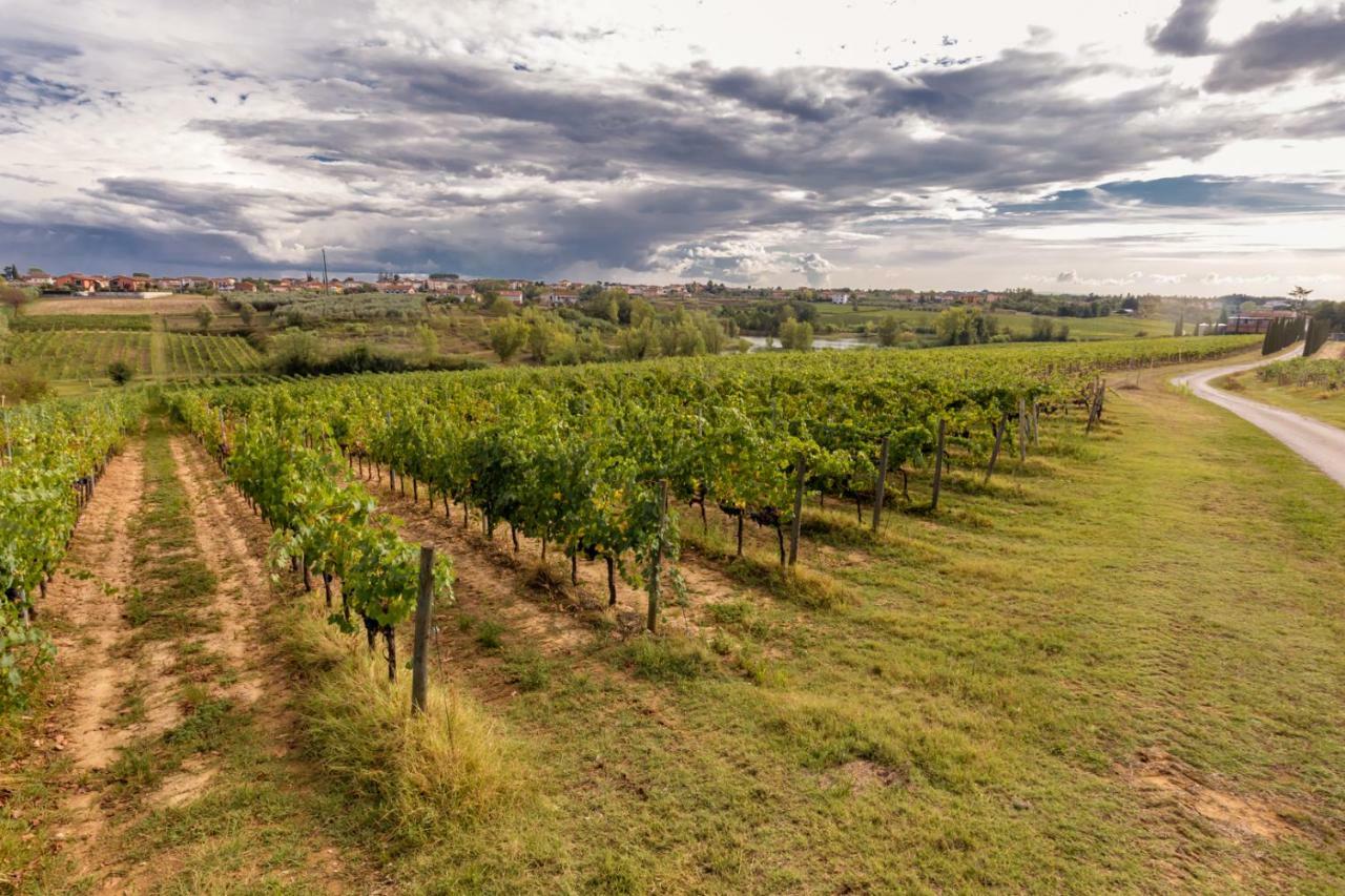 ランポレッキオ Agriturismo Tenute Poggio Di Bobiヴィラ エクステリア 写真